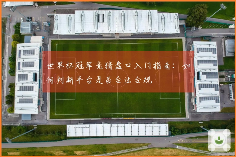 世界杯冠军竞猜盘口入门指南:如何判断平台是否合法合规